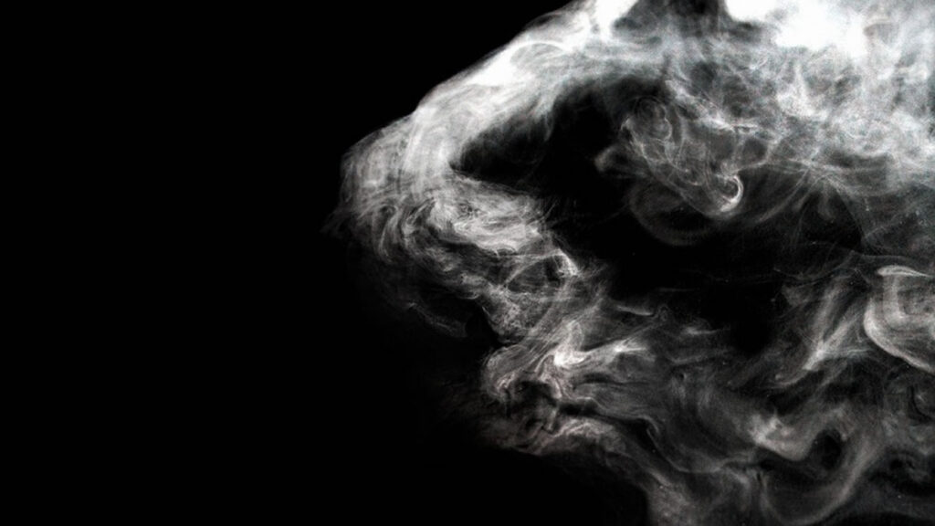 Russia Apartment Smoking Ban Fake
